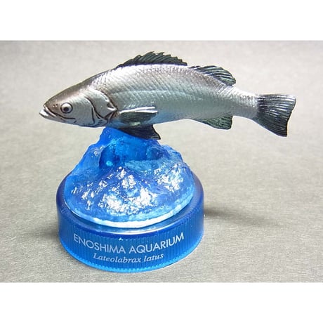 CATEGORY 海洋生物・動物・生き物 | トイズ・スタイル