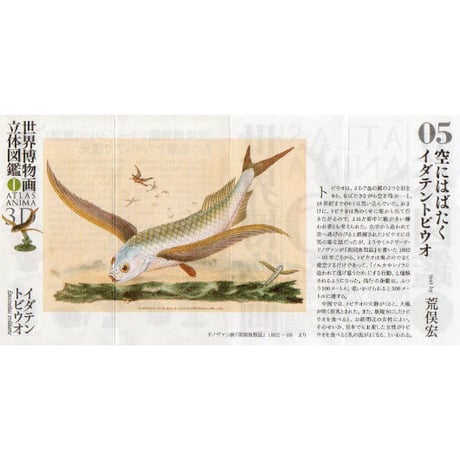 世界博物画立体図鑑Ⅰ コレクションボックス（全8種）【中身未開封品】