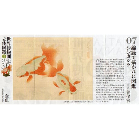 世界博物画立体図鑑Ⅰ コレクションボックス（全8種）【中身未開封品】