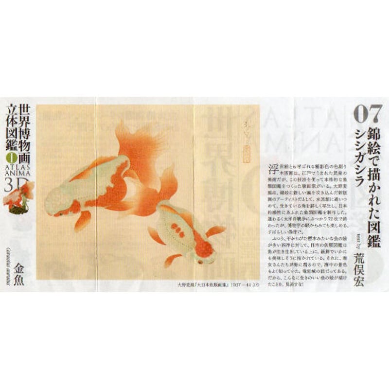 世界博物画立体図鑑Ⅰ コレクションボックス(全8種)【中身未 世界博物画立体図鑑Ⅰ コレクションボックス(全8種)【中身未