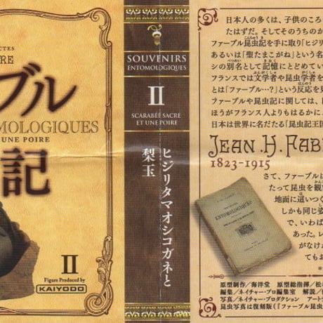 ファーブル昆虫記　02.ヒジリタマオシコガネと梨玉