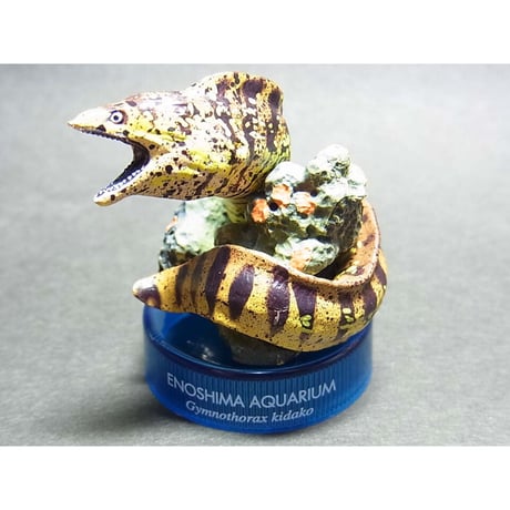 CATEGORY 新江ノ島水族館への誘い | トイズ・スタイル