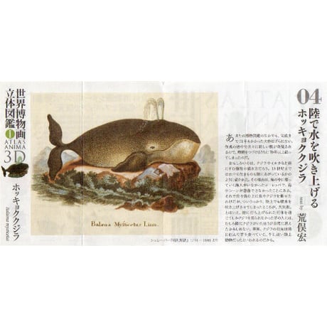世界博物画立体図鑑Ⅰ コレクションボックス（全8種）【中身未開封品】
