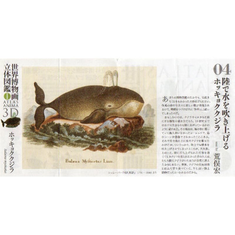 世界博物画立体図鑑Ⅰ コレクションボックス(全8種)【中身未 世界博物画立体図鑑Ⅰ コレクションボックス(全8種)【中身未