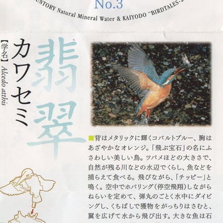 BIRDTALES - 2 森と清流　03.カワセミ