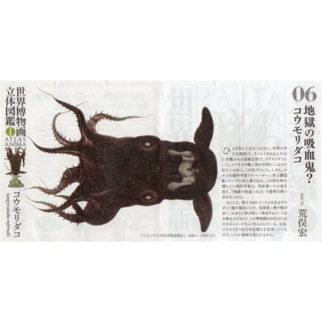 世界博物画立体図鑑Ⅰ コレクションボックス（全8種）【中身未開封品】