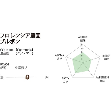 【グアテマラ】フロレンシア農園【300g / 500g】