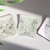 【SPRING】シーズナルドリップパック