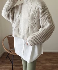 TURTLE  CABLE KNIT