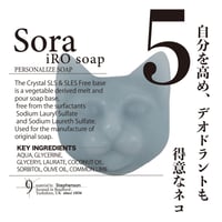 ハコイリネコ no.5 Sora