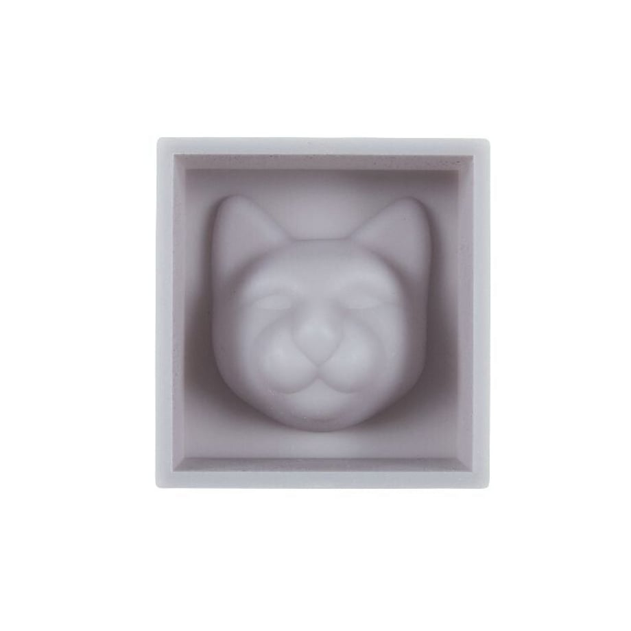 61e22c7cfd2e735bcb492755