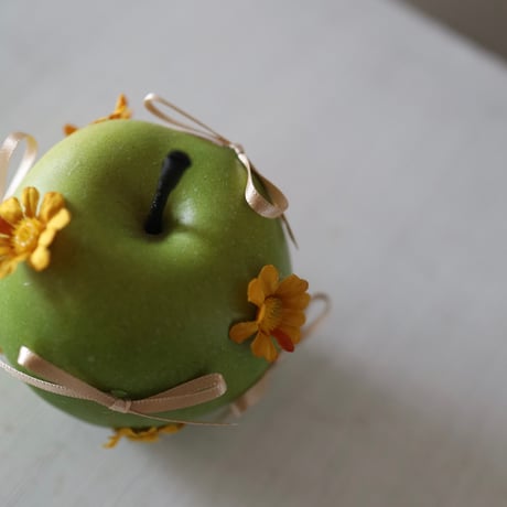 FAKE fruits
