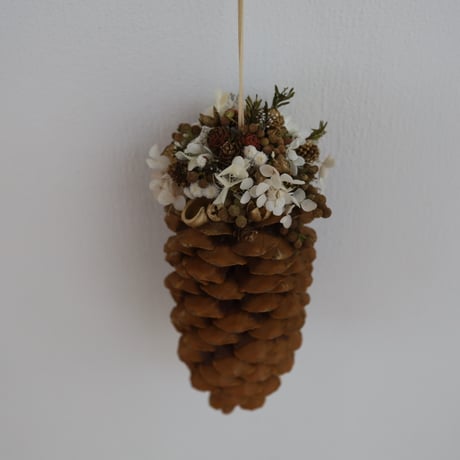 hang pine cone