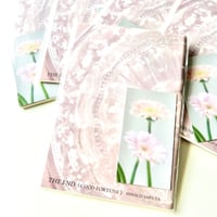 【猿田妃奈子】ZINE 「THE END (GOOD FORTUNE)」