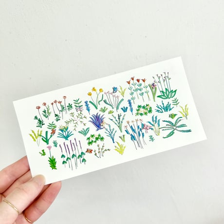 【落合晴香】ポストカード「garden」