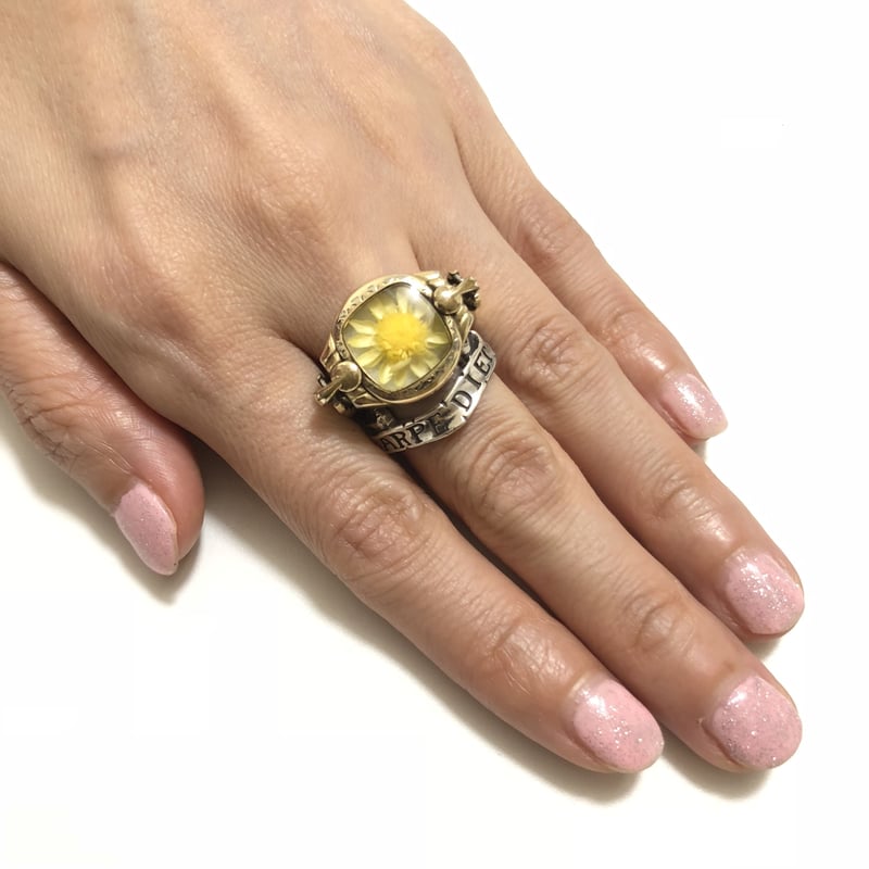 シルバー925 指輪 リング カルぺディエム 19号 Silver925 Ring CARPE DIEM『今を生きる』 日時計スタイル