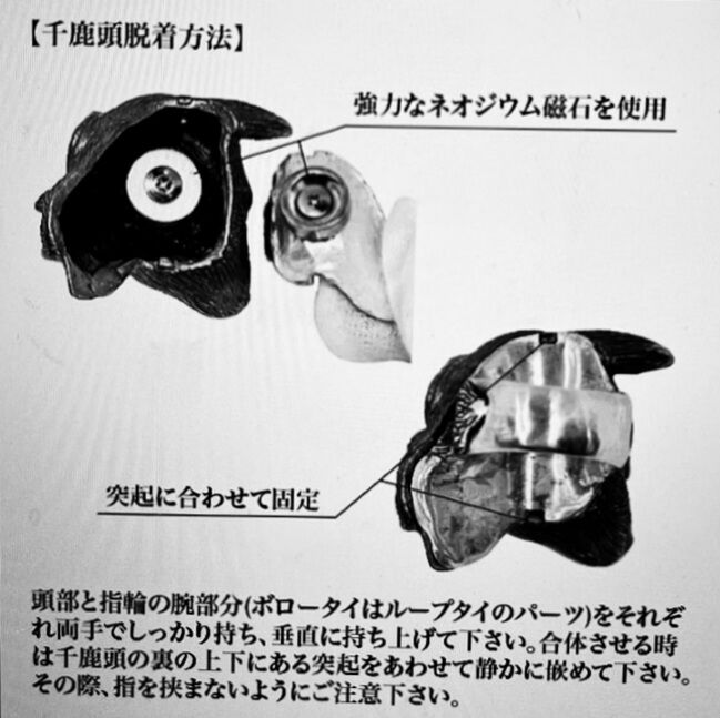 ペア】パルナシウス・アポロ（新疆省天山） ペア】パルナシウス