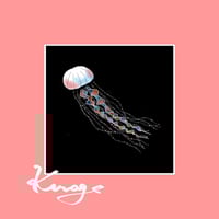 ウワノソラ/陽だまり 2LP ウワノソラ – 陽だまり – 2 x Vinyl (LP, Album, Limited