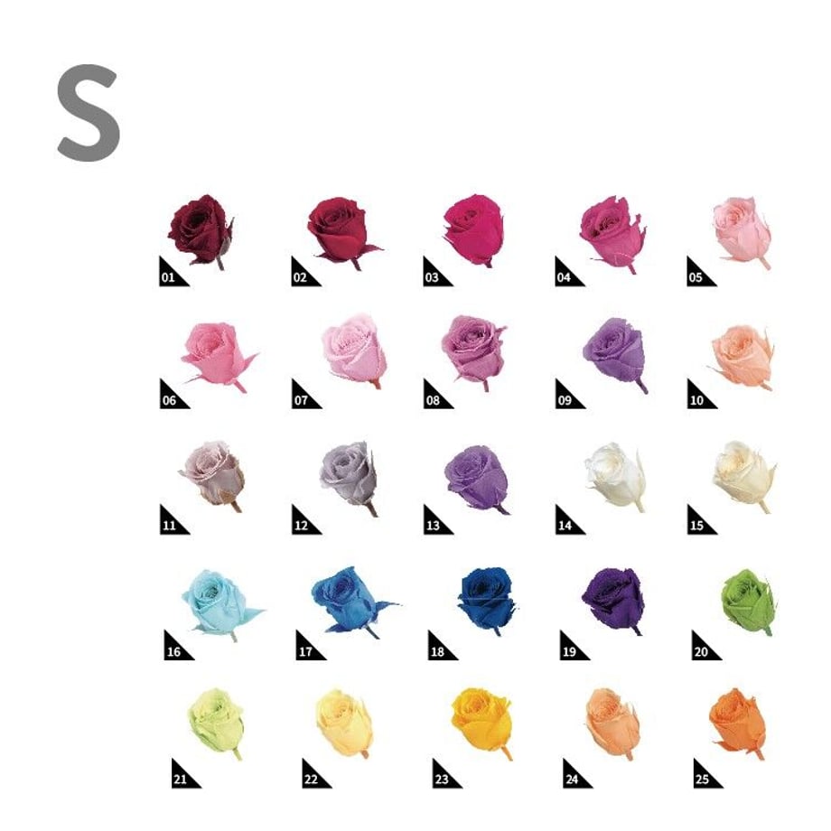 61440781c1209638f368f022