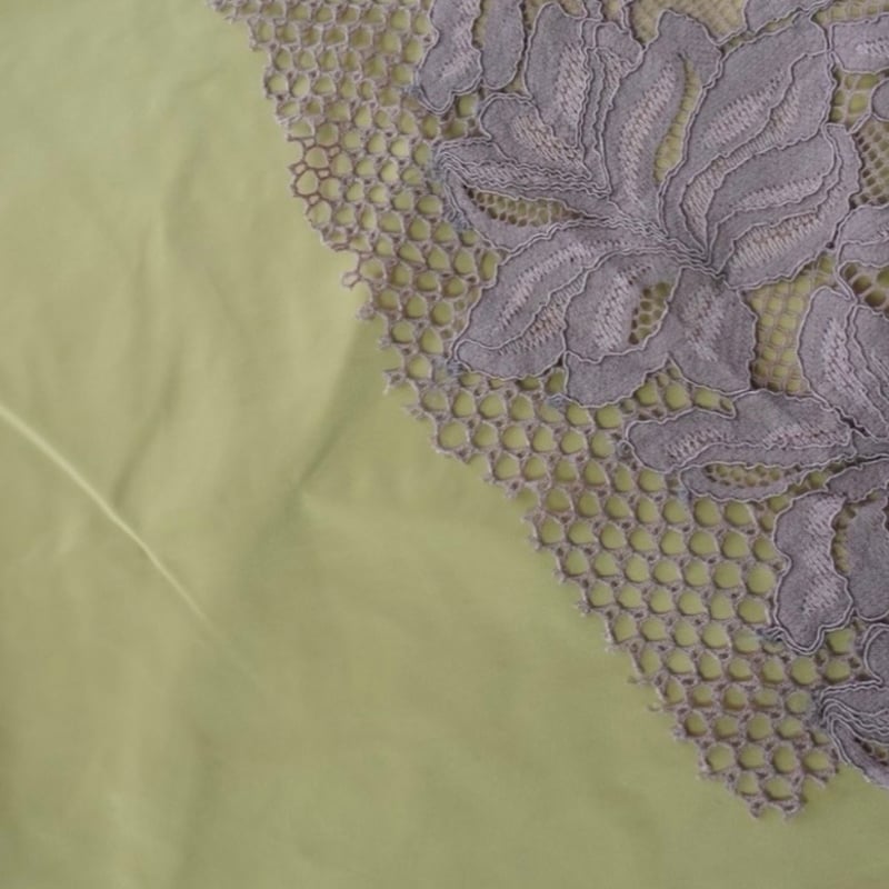 Thomas magpie 2263401 Memory Taffeta×Lace [ 先