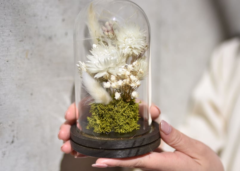 発送】ミニドームアレンジメント | COCO BOTANICAL arrangement |