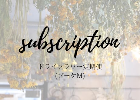 【定期発送】ドライフラワーブーケ(M)