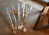 【発送】単品5種セット