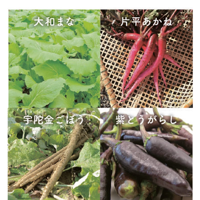 大和野菜のお素麺（木箱入り）900g（18束） | 三輪素麺工業協同組合