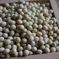 【加工用】令和７年度 宍粟市産大豆(さちゆたか) 1Kg　農薬・化学肥料不使用