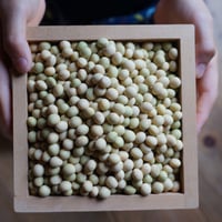令和７年度産　宍粟市産大豆(さちゆたか) 100g　農薬・化学肥料不使用