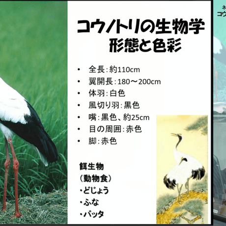 第２回 コウノトリ育む農法によるお米作り-栽培技術と導入- 動画配信チケット