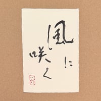葉書「風に咲く_1」