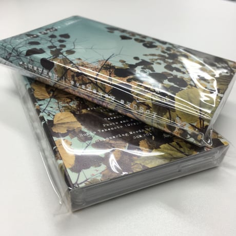 Yosuke Kakegawa『Remnant』カセットテープ