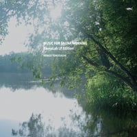 とくさしけんご『MUSIC FOR SAUNA MORNING』レコード