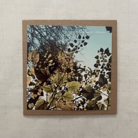 Yosuke Kakegawa『Remnant』CD