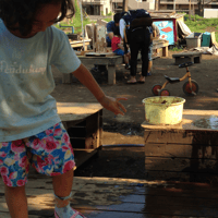 kids T-shirts blue