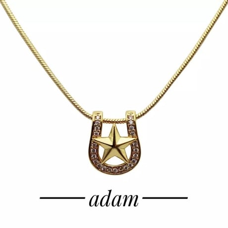Star hoof necklace