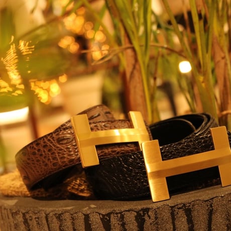H alligatore belt