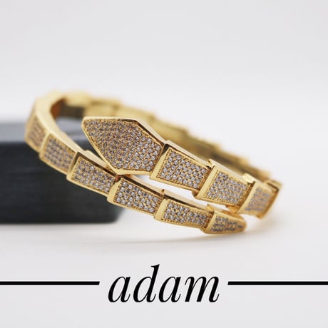 Dragon tail bracelet
