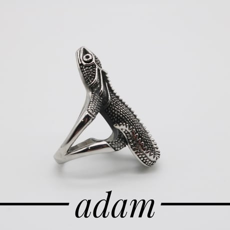 chameleon S ring