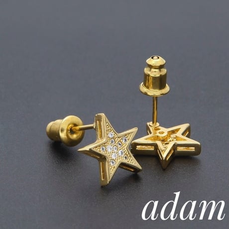 Star L Orecchini