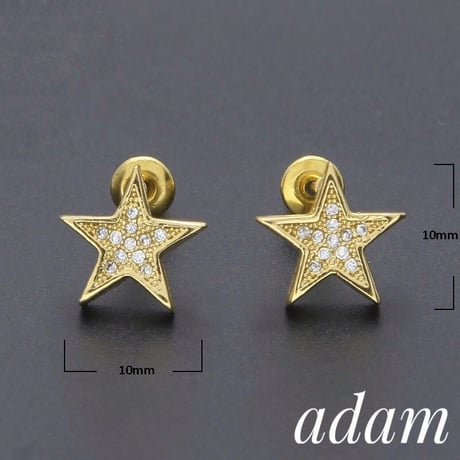 Star L Orecchini