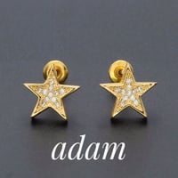 Star L Orecchini