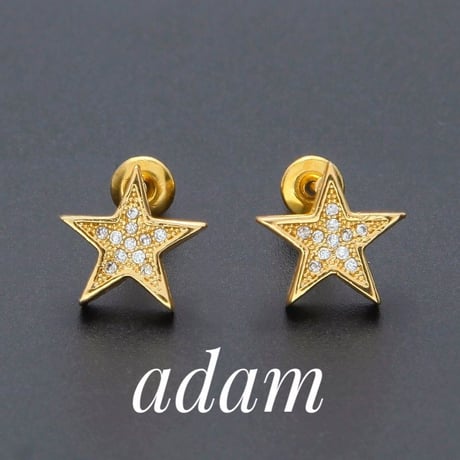 Star L Orecchini