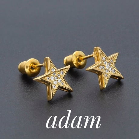 Star L Orecchini