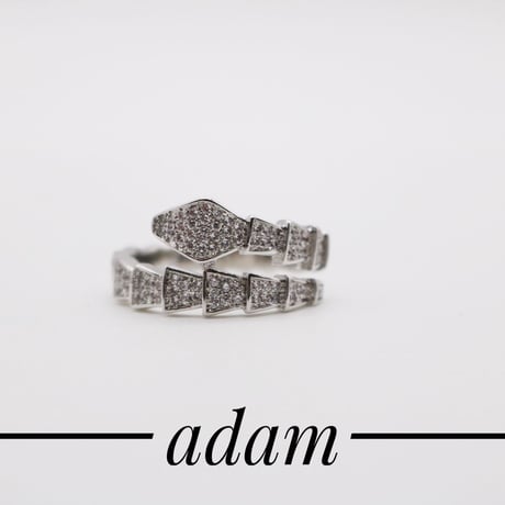 Dragon tail ring