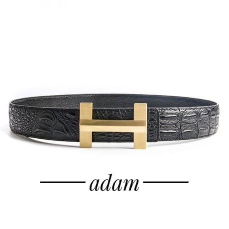 H alligatore belt