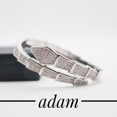 Dragon tail bracelet