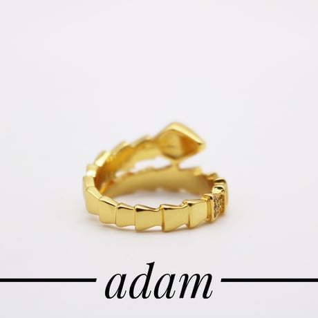 Dragon tail ring