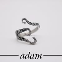 Polpo ring